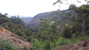 signal-2026-03-29-015023